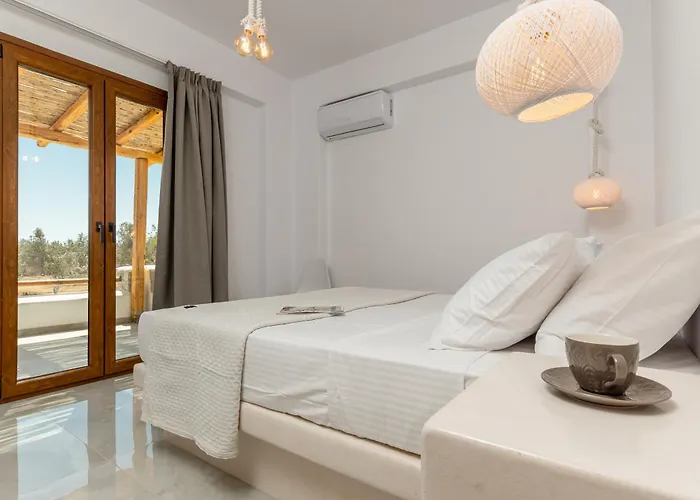 Naxos Beachwalk Plaka *