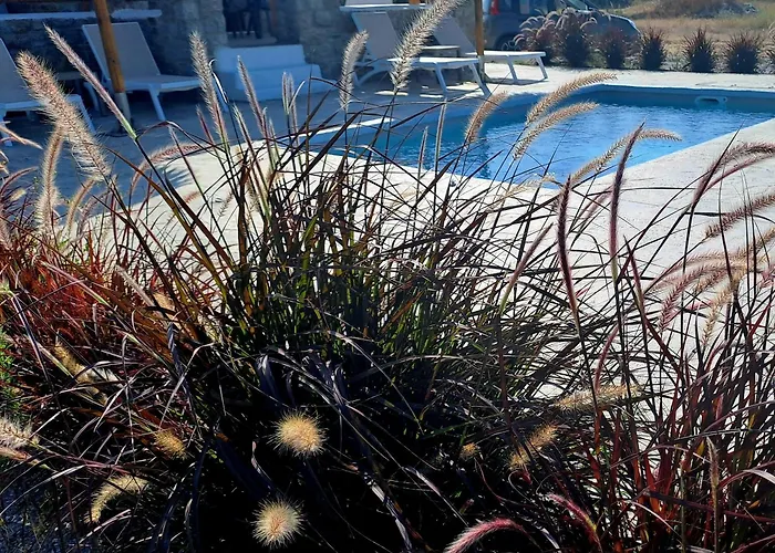 Villa Naxos Beachwalk Plaka